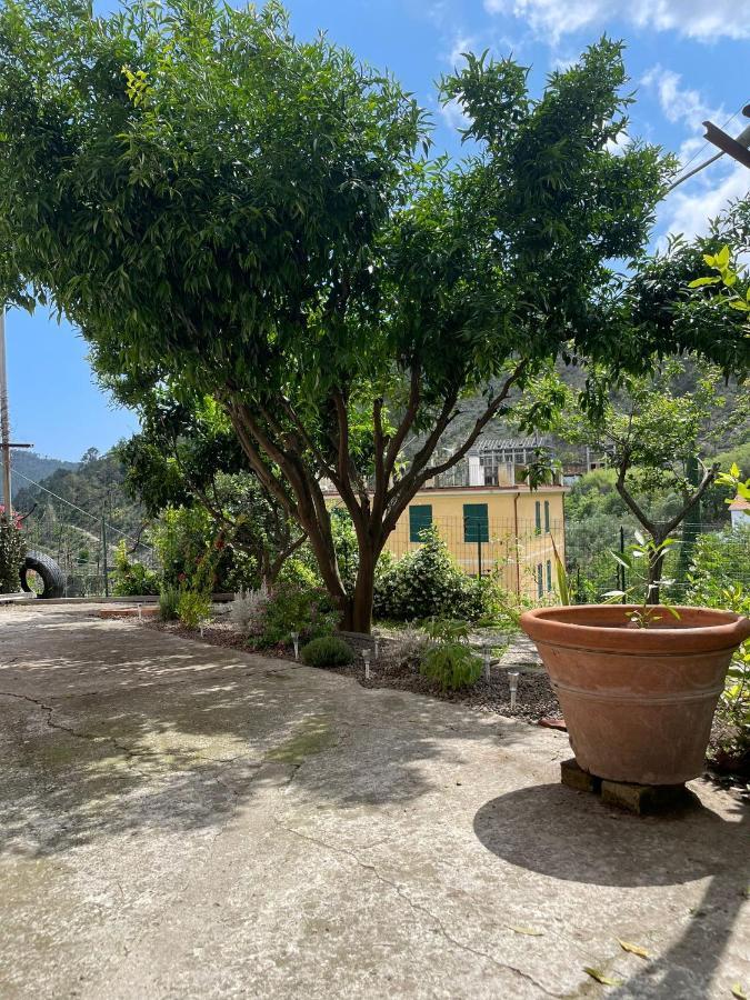 데이바마리나 La Casa Di Silvio Tra Le 5 Terre E Portofino 빌라 외부 사진